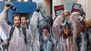 Colle, soupe &agrave; la tomate et d&eacute;termination sont les armes des militants du climat 