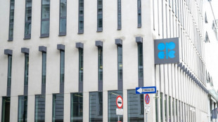 Emirados &Aacute;rabes Unidos v&atilde;o deixar Opep a partir de maio