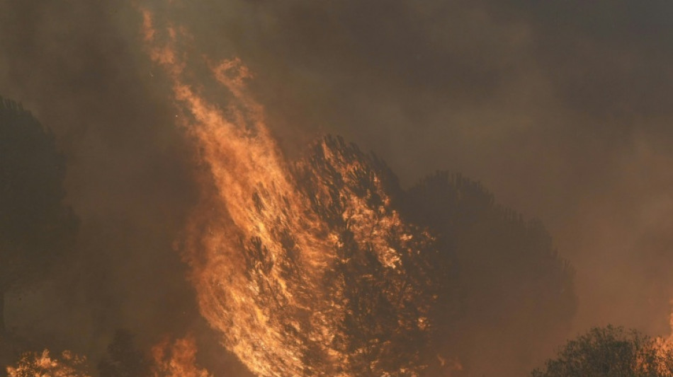 Record European fires burn over 500,000 hectares over summer