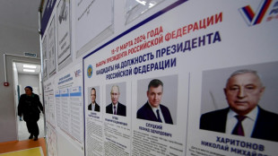 Protestaktion am letzten Tag der russischen Pr&auml;sidentschaftswahl geplant