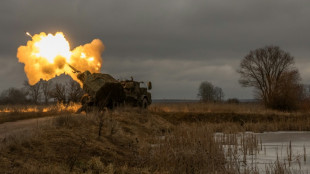 Deutschland unterst&uuml;tzt tschechische Initiative zum Munitionskauf f&uuml;r Ukraine