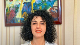 Iran Nobel winner unwell after 'violent' arrest: supporters