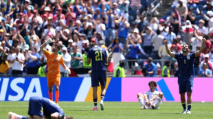 Bosnia beat Qatar to reach World Cup knockout stages for first time
