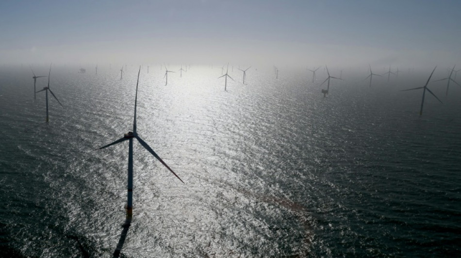 Vattenfall will den nach eigenen Angaben gr&ouml;&szlig;ten Windpark Deutschlands bauen