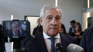 Tajani, posizione Bce complica il lavoro per asset russi