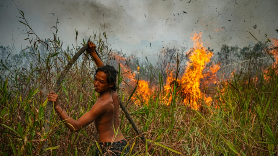 Incendios forestales asfixian Indonesia y provocan una nube de humo en la regi&oacute;n