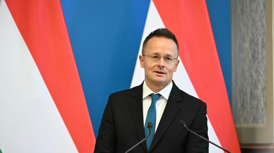 Ungarns Au&szlig;enminister kritisiert EU bei Besuch in Belarus