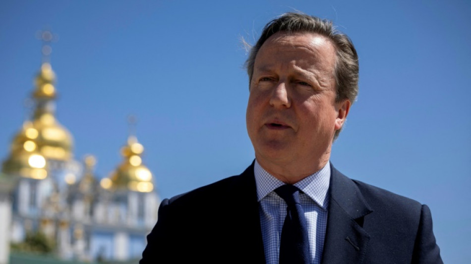 Cameron: Nato-Staaten sollen Milit&auml;rausgaben auf 2,5 Prozent erh&ouml;hen 