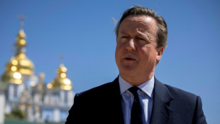 Cameron: Nato-Staaten sollen Milit&auml;rausgaben auf 2,5 Prozent erh&ouml;hen 