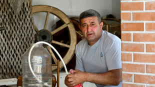 G&eacute;orgie: loin de Tbilissi, l'oligarque Ivanichvili r&eacute;v&eacute;r&eacute; comme "un dieu" 