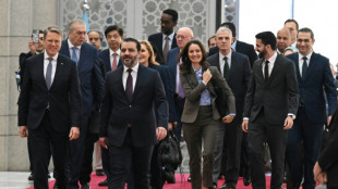 Consejo de Seguridad de la ONU afirma estar dispuesto a apoyar a Siria durante visita