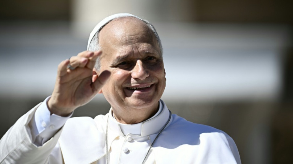 Pope Leo in France: the issues on the table