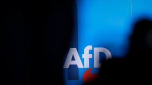 Mehr als 110 Abgeordnete unterst&uuml;tzen Antrag auf AfD-Verbot - Vorlage eingereicht