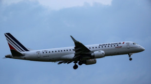 Air France-KLM registra p&eacute;rdida neta de 3.300 millones de euros en 2021