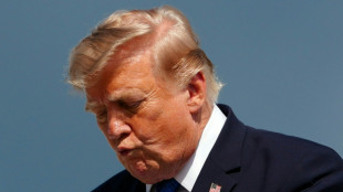 Trump afirma que EEUU e Israel aplazar&aacute;n ataques contra Ir&aacute;n