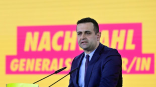 FDP-Generalsekret&auml;r fordert Nachbesserungen beim beschlossenen Sicherheitspaket