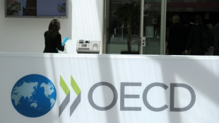 Nouveau record de l'aide publique au d&eacute;veloppement en 2023, entra&icirc;n&eacute; par l'Ukraine, selon l'OCDE