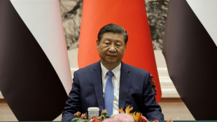 Chinas Pr&auml;sident Xi fordert Nahost-Friedenskonferenz