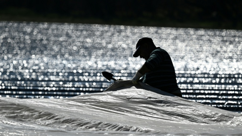 Antrag an Bundesparteitag: CDU fordert Mindestlohn-Ausnahmen f&uuml;r Saisonarbeiter