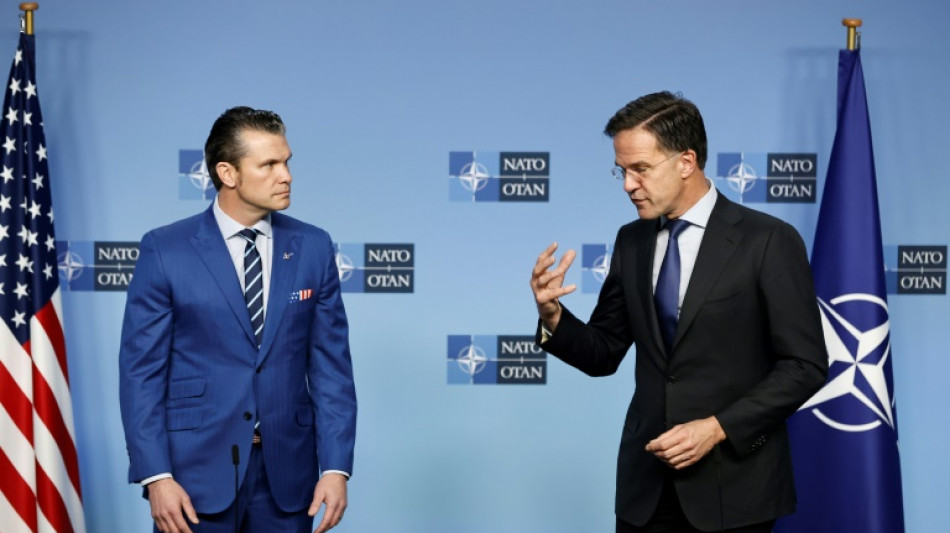 Nato-Chef Rutte fordert Einbindung der Ukraine in mögliche Friedensverhandlungen