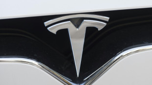 Umweltrechtliche Genehmigung f&uuml;r Tesla-Werk in Brandenburg steht offenbar kurz bevor