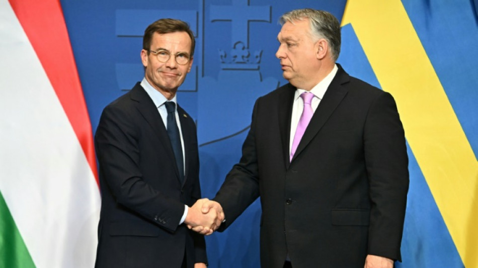 Ungarisches Parlament stimmt &uuml;ber Nato-Beitritt Schwedens ab