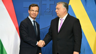Vor Votum zu Nato-Beitritt: Ungarn und Schweden verst&auml;rken Milit&auml;rzusammenarbeit