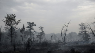 Cerca de 2.000 hect&aacute;reas calcinadas por un incendio forestal en Francia