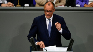 Neues Merz-Angebot an Regierung: Zur&uuml;ckweisungen drei Monate lang testen