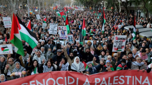 20.000 Menschen demonstrieren in Madrid gegen Israels Milit&auml;reinsatz im Gazastreifen