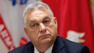 Ungarns Ministerpräsident Orban sieht Ukraine nach Kriegsende als "Pufferstaat"