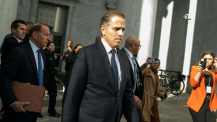 Wegen L&uuml;gen &uuml;ber Bidens angeklagter Ex-FBI-Informant erneut festgenommen