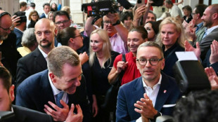 Rechtspopulistische FP&Ouml; st&auml;rkste  Kraft bei Europawahl in &Ouml;sterreich