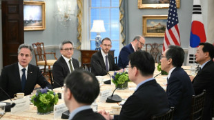 Blinken k&uuml;ndigt f&uuml;r M&auml;rz Besuch in S&uuml;dkorea zu Demokratie-Gipfel an