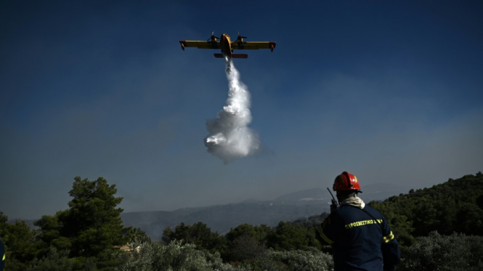 Feuerwehr kämpft weiter gegen Waldbrände in Griechenland und in der Türkei