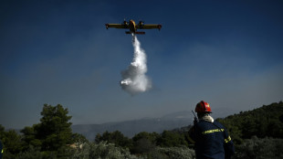 Feuerwehr kämpft weiter gegen Waldbrände in Griechenland und in der Türkei