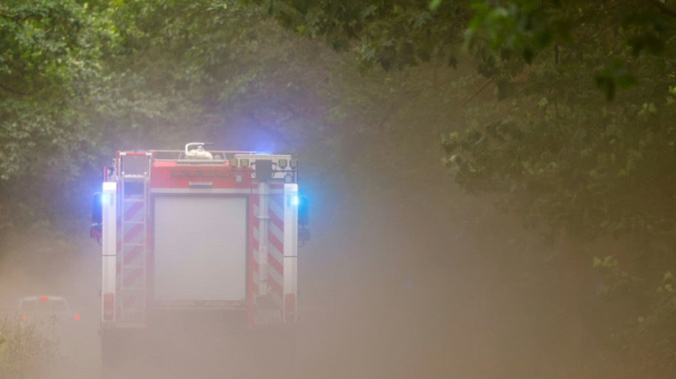 Rund 200 Feuerwehrleute bek&auml;mpfen Waldbrand in Nationalpark Harz