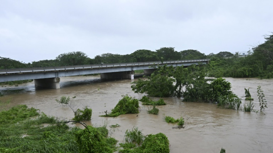 New danger for hurricane-hit Jamaica: wandering crocodiles