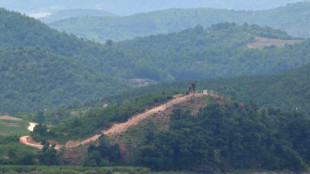 S&uuml;dkoreanische Armee reagiert mit Warnsch&uuml;ssen auf Grenz&uuml;bertritte aus dem Norden