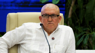 Colombie: un important groupe arm&eacute; soutient l'union des gu&eacute;rillas pour contrer les Etats-Unis (commandant &agrave; l'AFP)