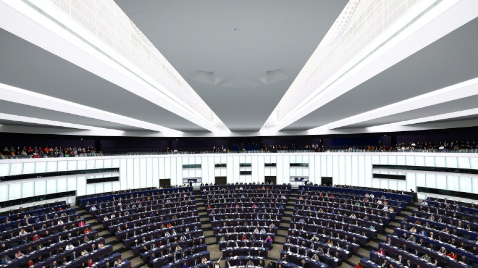 Europawahl: Wahlleiterin sieht Teilnahme als "Zeichen f&uuml;r starke Demokratie"