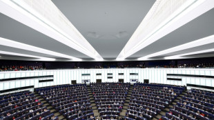 Europawahl: Wahlleiterin sieht Teilnahme als "Zeichen f&uuml;r starke Demokratie"