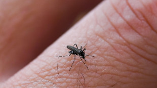 West Nile, i casi in Sardegna salgono a 39