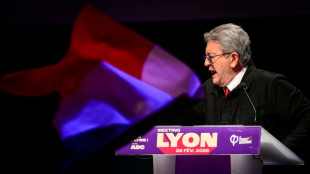 French hard-left firebrand sparks row with 'antisemitic' Epstein jibe