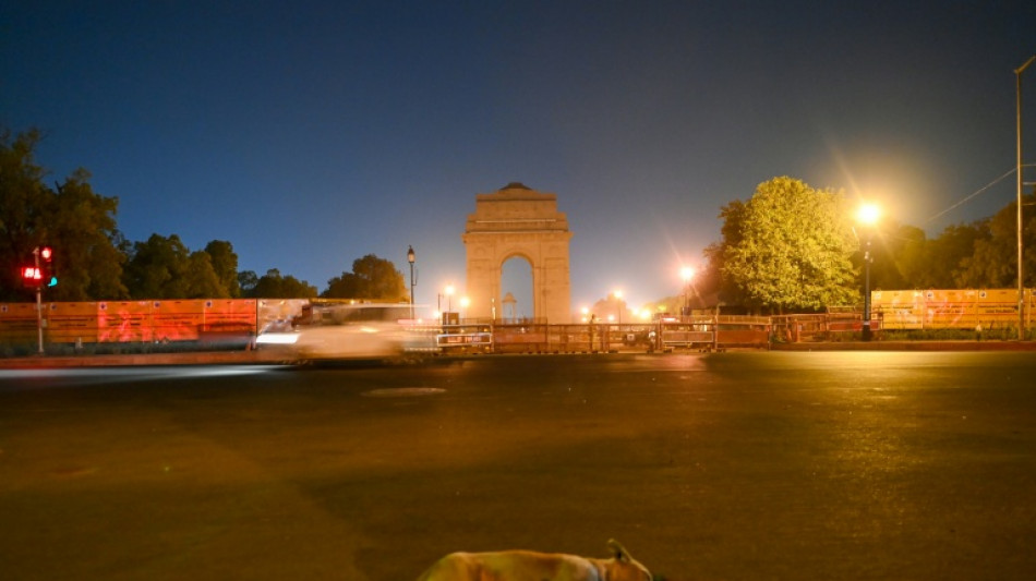 India's fat dog vote goes viral