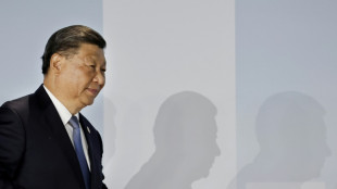 Xi: Hart erk&auml;mpfte soziale Stabilit&auml;t in Xinjiang muss konsolidiert werden