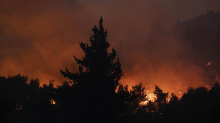 Cile: 28 incendi ancora attivi, Boric torna nelle zone colpite