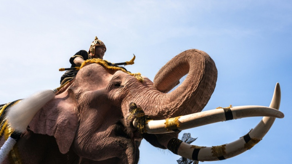 Pink elephants march for Thailand's late queen mother