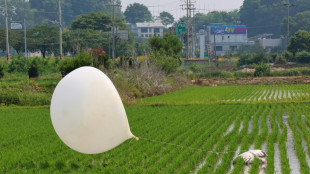 Seoul: Parasiten aus menschlichen F&auml;kalien in M&uuml;llballons aus Nordkorea gefunden