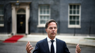 Nato-Chef Rutte r&auml;t Mitgliedsstaaten erneut zu Gelassenheit mit Blick auf Trump